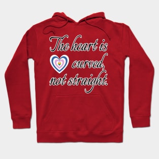 The Heart Is Not Straight Hoodie